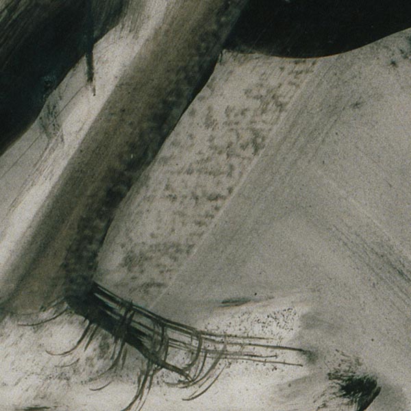 Detail of Glyptotek Drawing [9] showing texture from directly applied charcoal on the left, in contrast to the manipulated tonal area on the right.