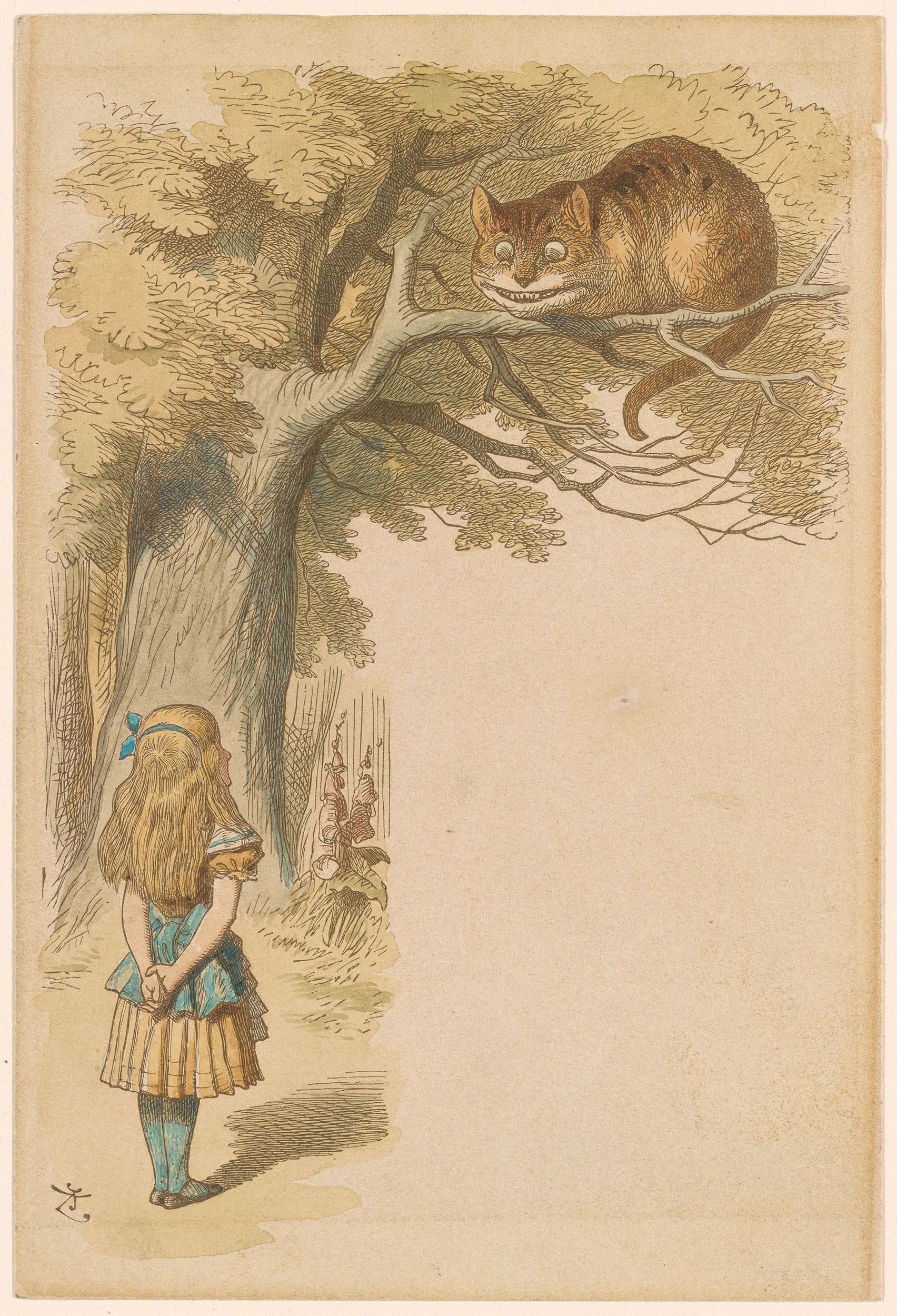 John Tenniel Cheshire Cat in the Tree Above Alice Drawings Online