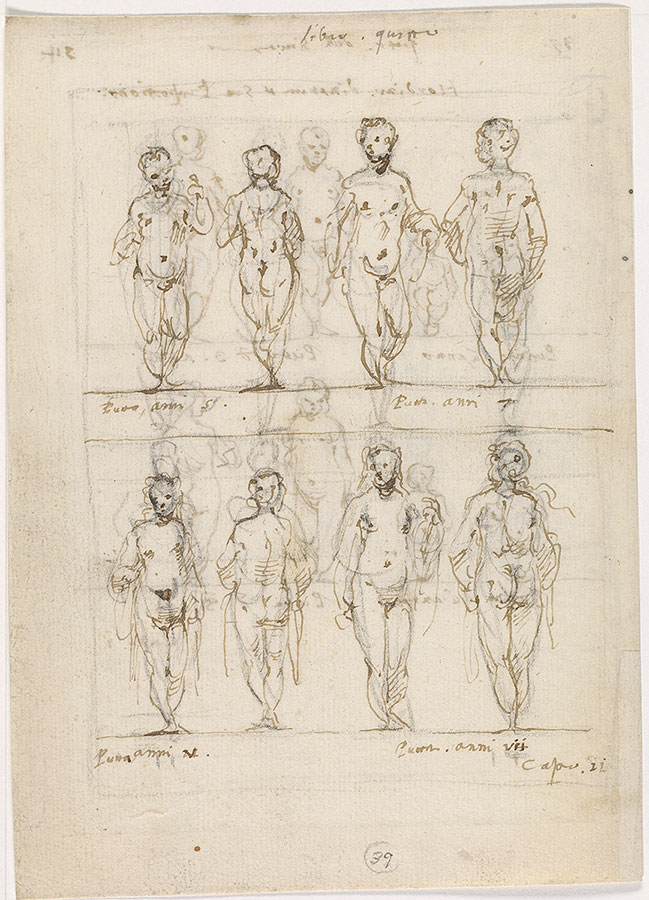 IV. Proportions of the Human Body and Proportions of the Horse