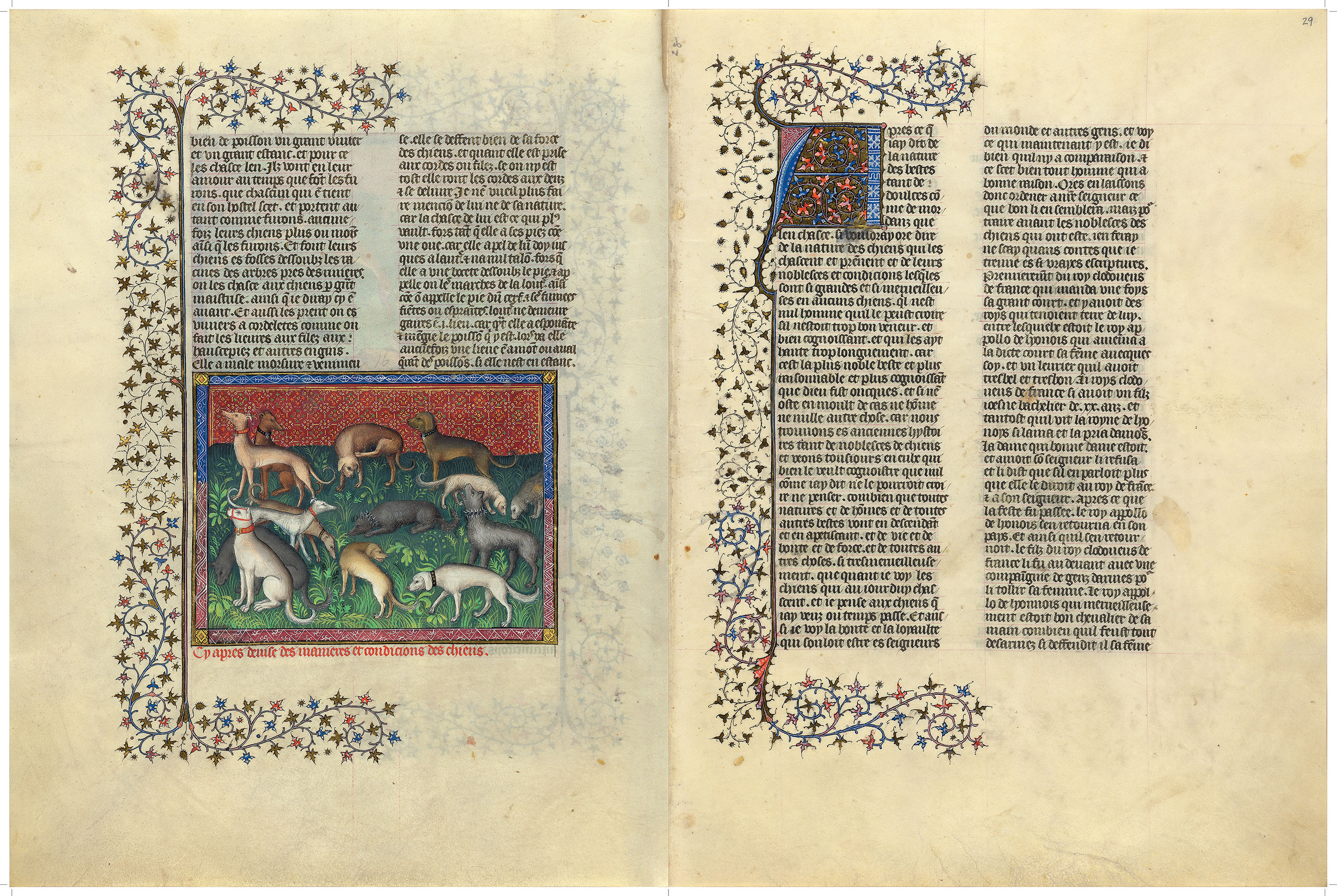 Schadelijk Beukende Smeren MS M.1044, fols. 28v–29r | Livre de la chasse | The Morgan Library & Museum