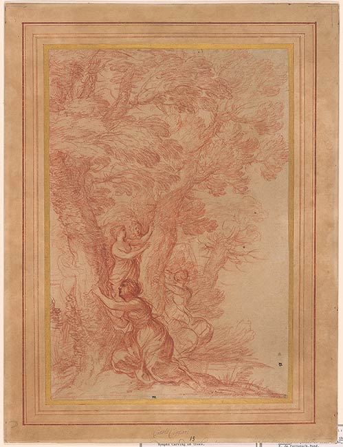 Browse All Drawings The Morgan Library And Museum