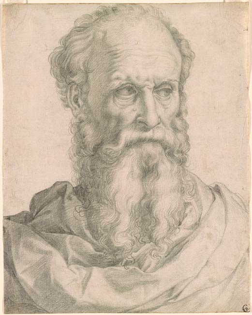 Francesco Salviati | Head and Shoulders of a Bearded Man (Baccio ...