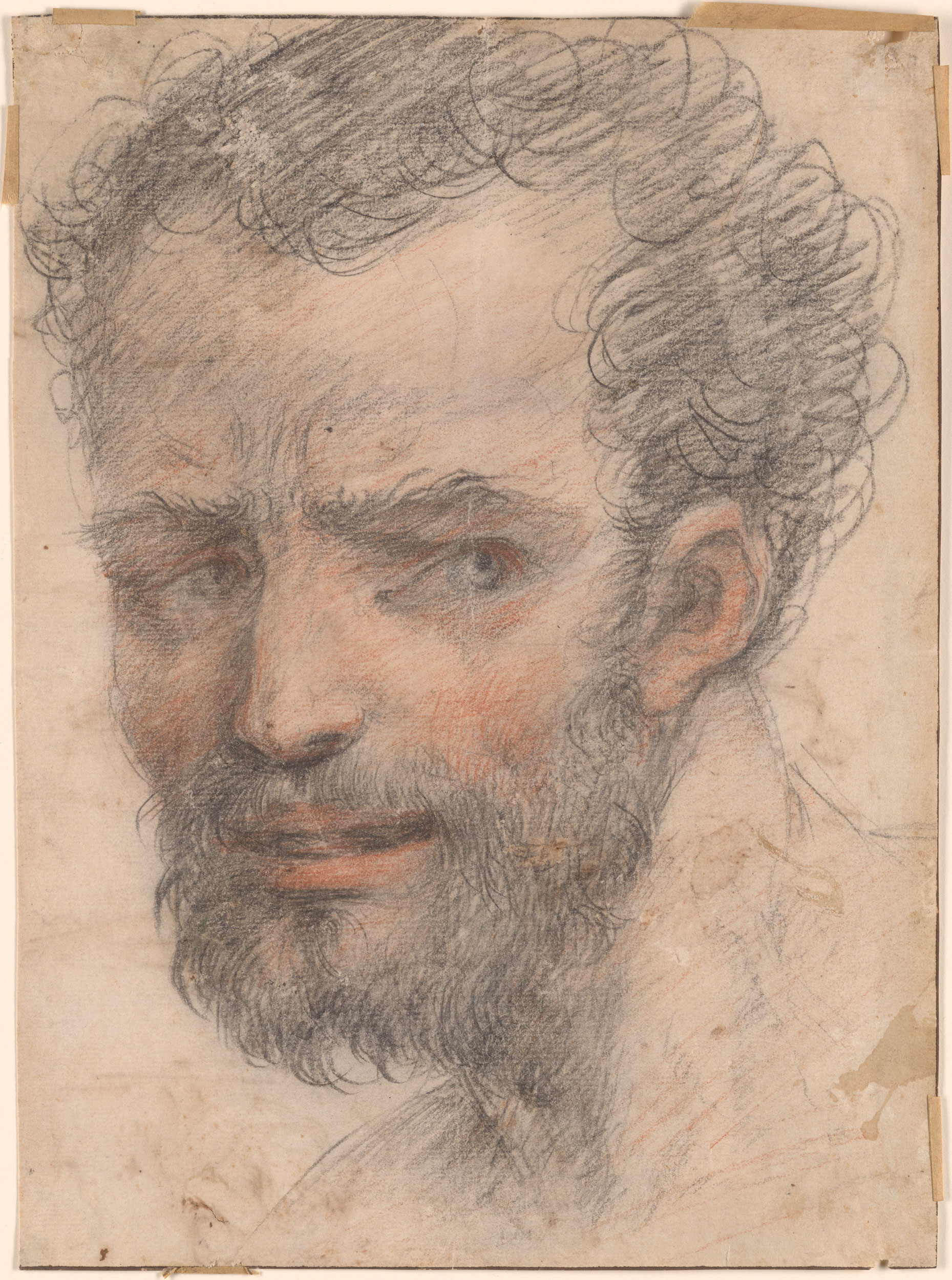 Italian School | Head of a Man. Verso: Saint Jerome | Drawings Online ...