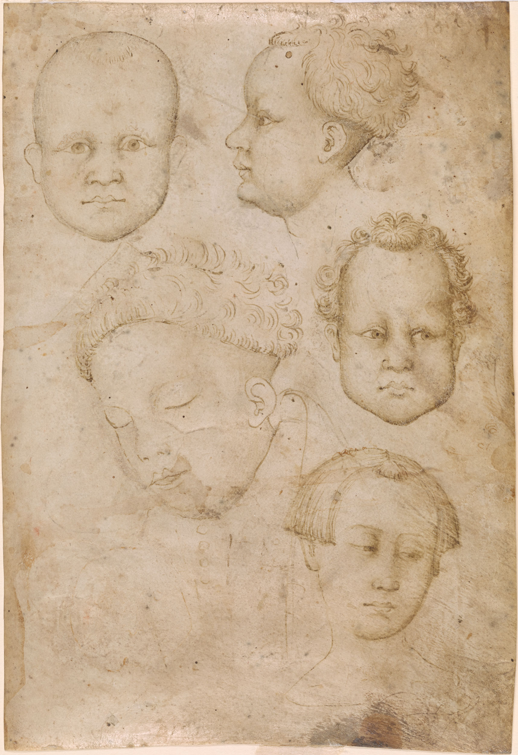 Studio of Pisanello | Heads of Young Boys | Drawings Online | The ...