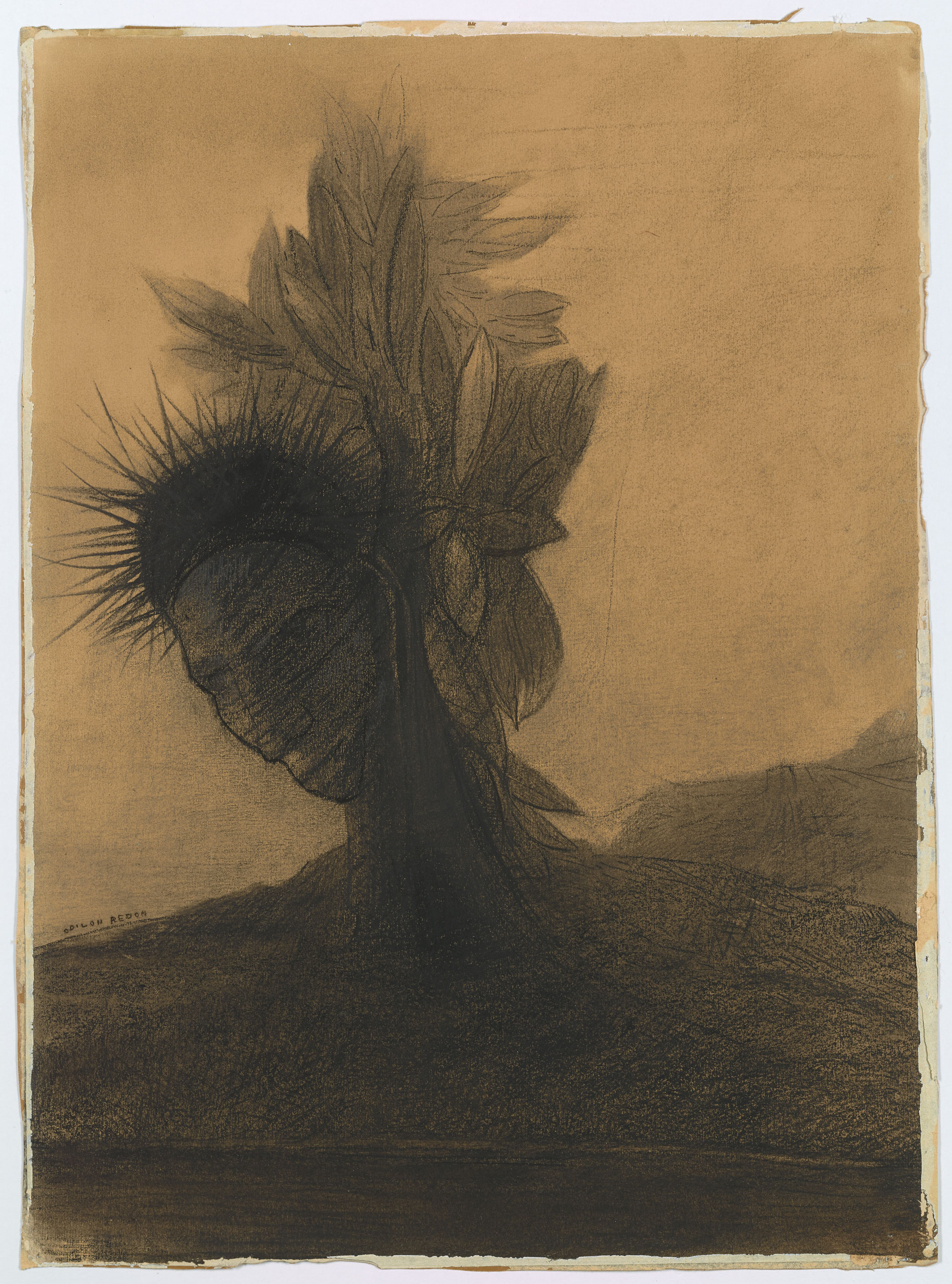 Odilon Redon | The Tree Man | Drawings Online | The Morgan Library & Museum