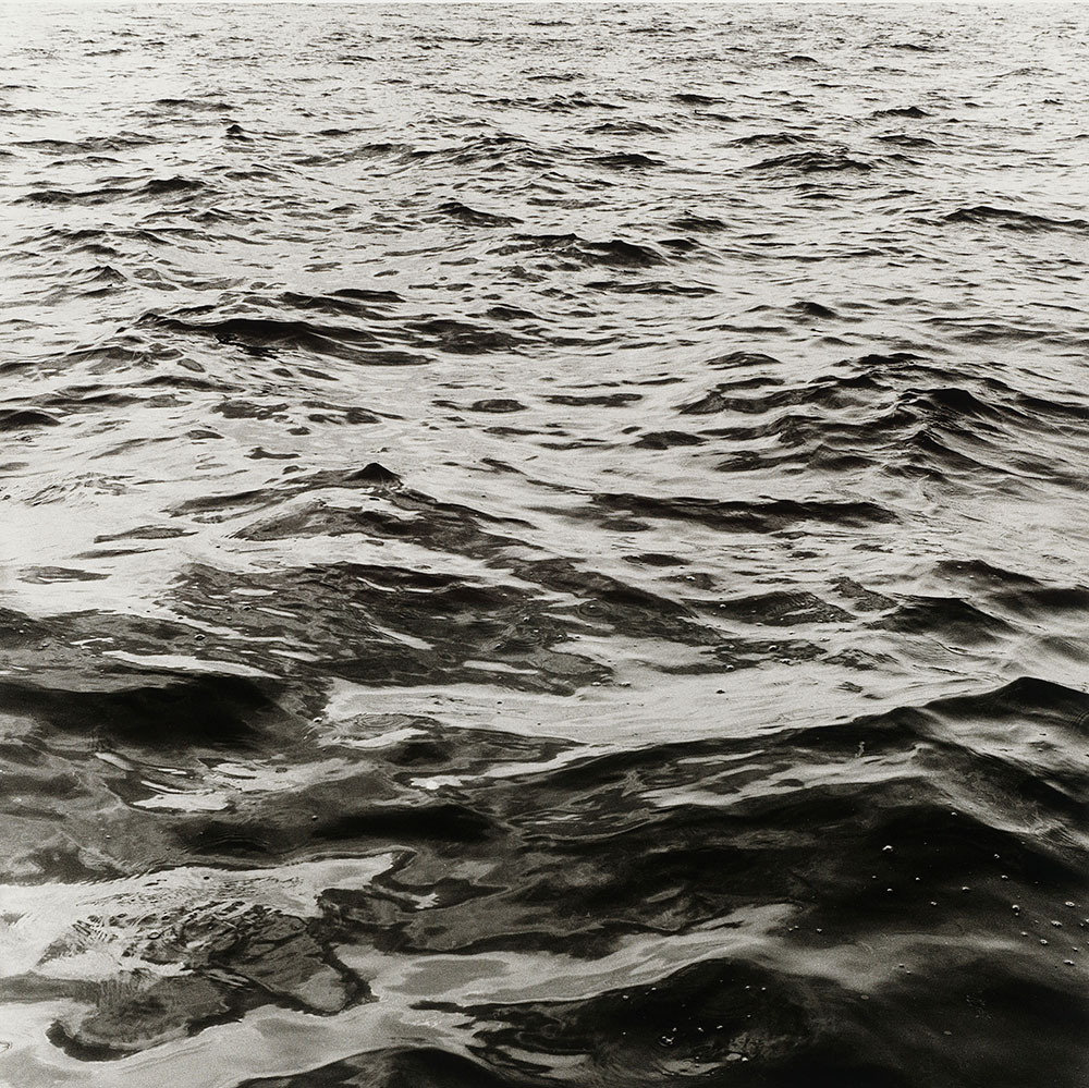 Peter Hujar: Speed of Life | The Morgan Library & Museum