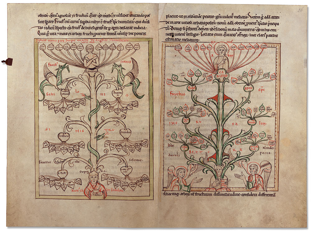 Veils of Paradise: Vice or Virtue