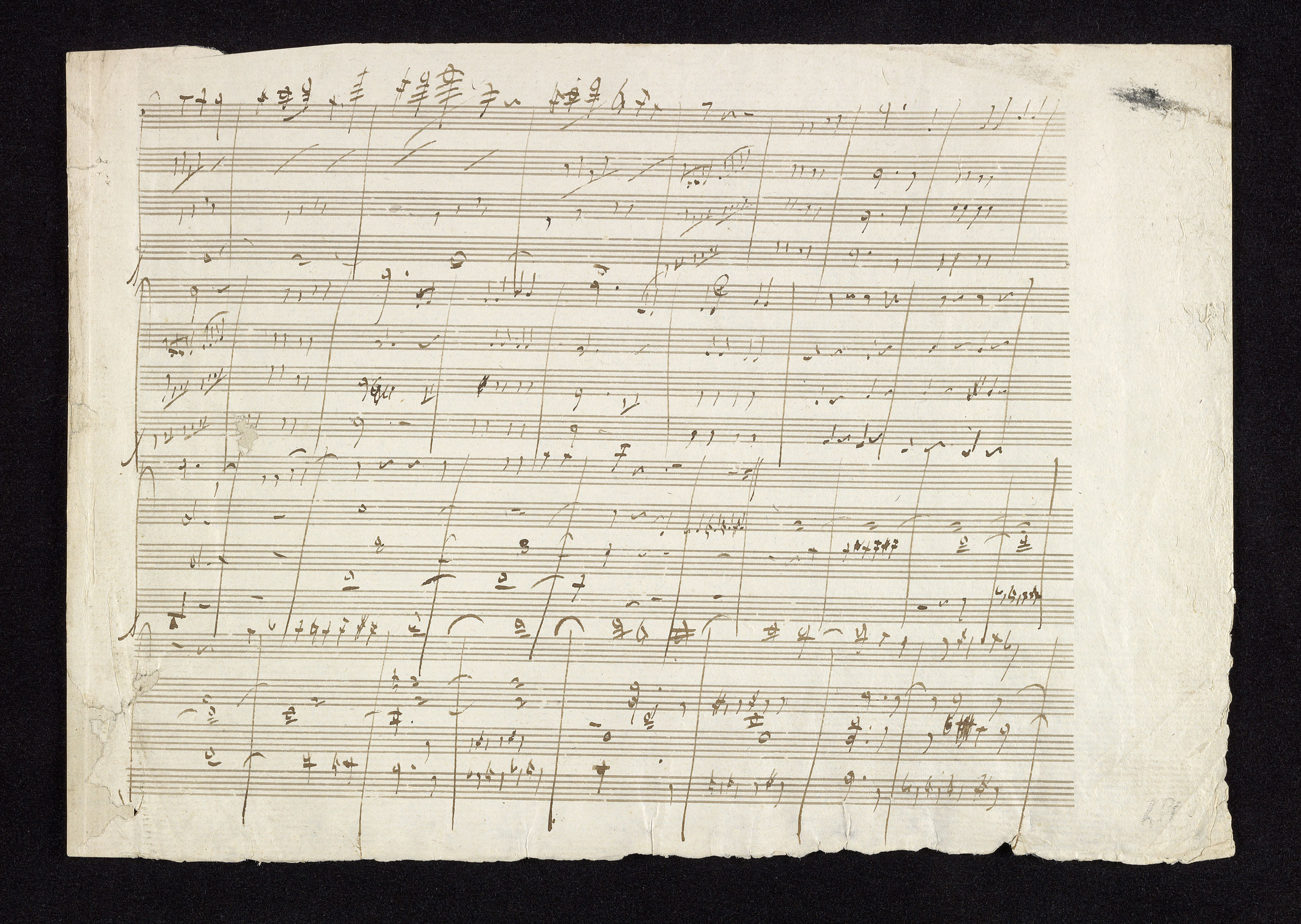 W.a. Mozart, Brandis Quartet, Wolfgang Amadeus Mozart
