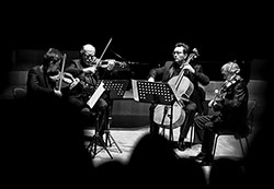 Silesian String Quartet. Image curtsey of Arts Managements Group