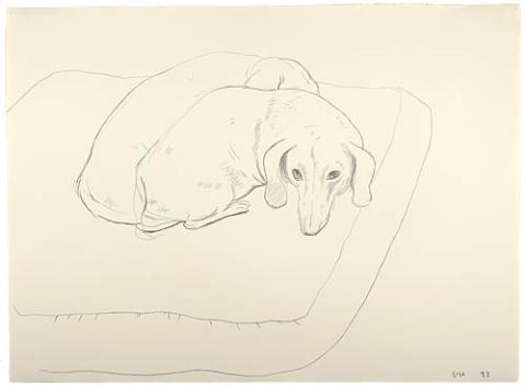 In the Company of Animals: Art, Literature, and Music | The Morgan Library  & Museum Online Exhibitions