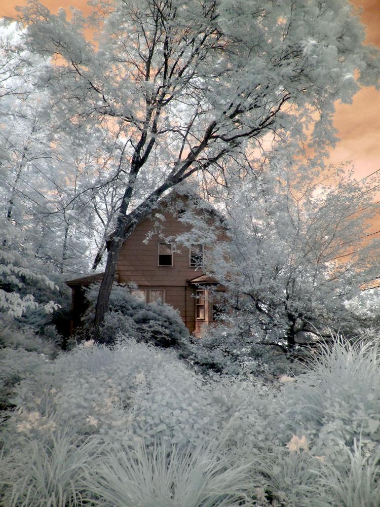 House in snowy landscape