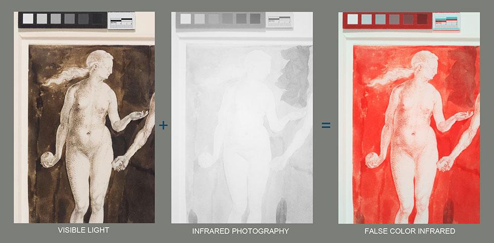 Drawing by Albrecht Durer under normal light, infrared, and false color infrared