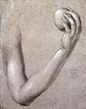 Image of Albrecht Dürer drawing